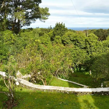 The Emigrant House By Pontanegraazores Biscoitos  Buitenkant foto
